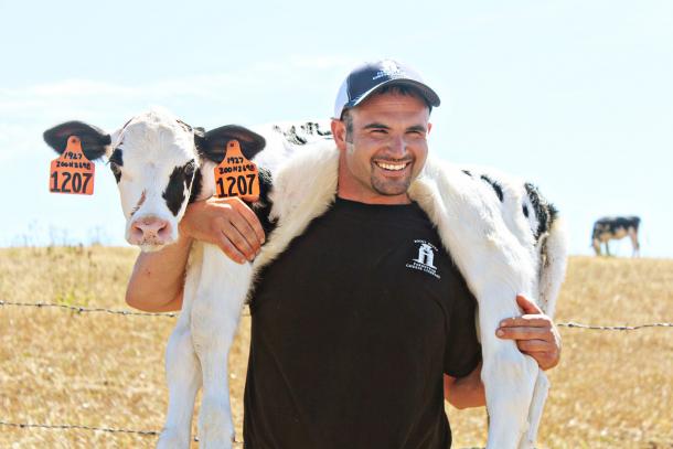 Photo courtesy of Point Reyes Farmstead Cheese Company