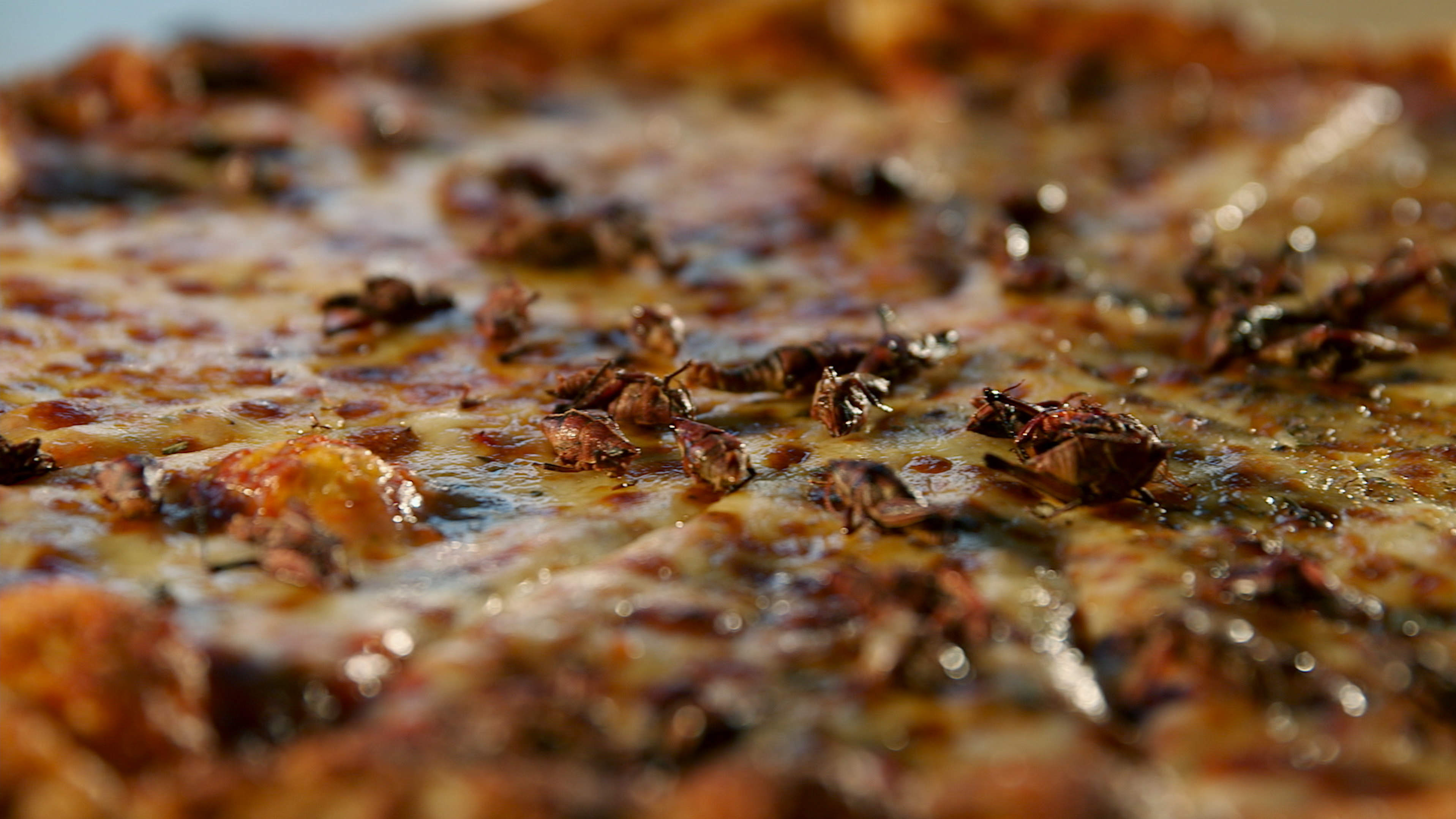 Crickets on a pizza? Chef David George Gordon likens the insects to crawfish. Chef Joseph Yoon agrees, calling them "gateway bugs."