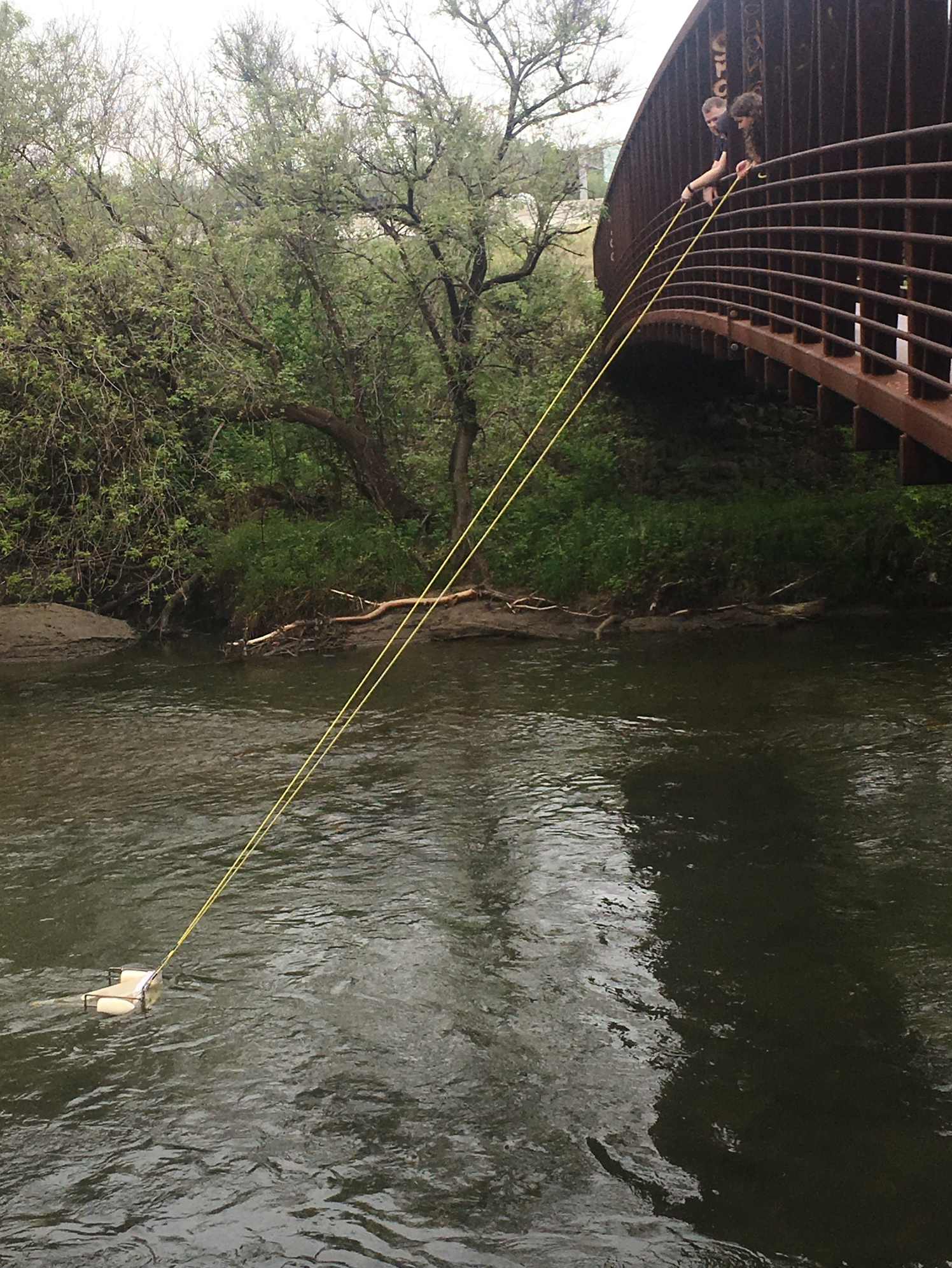 Rochman's scientific team drops a net into a stream in Toronto to collect tiny floating pieces of plastic.