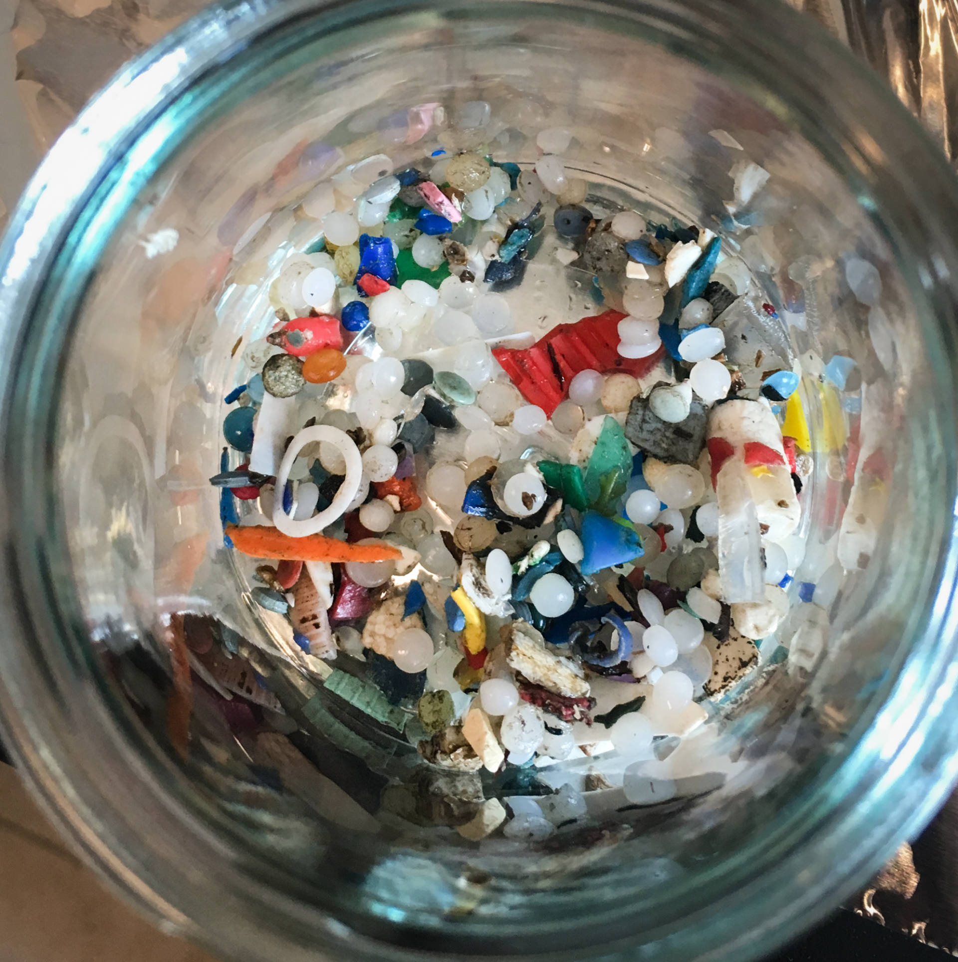 Microplastics found along Lake Ontario by Rochman's team