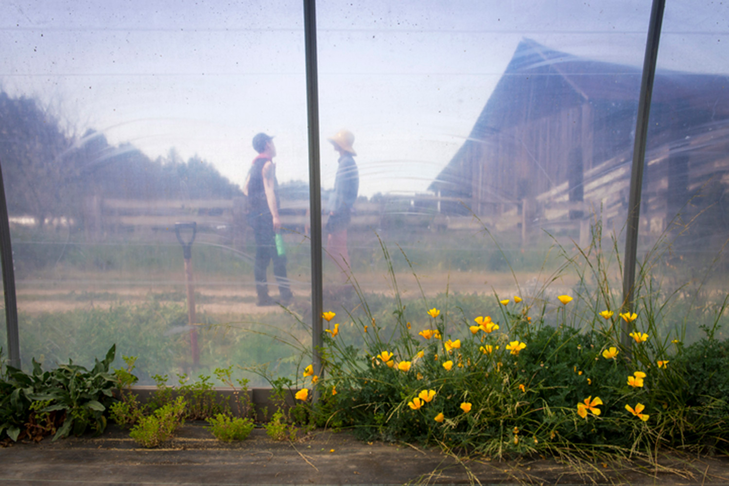 Finn Oakes and Lauren Anderson outside their greenhouse.