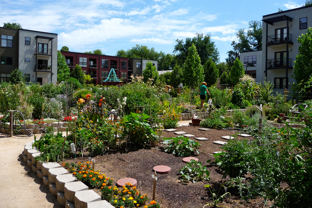 The Fremont Community Garden in Sacramento.