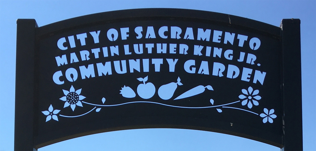 Martin Luther King Jr. community garden of Sacramento.
