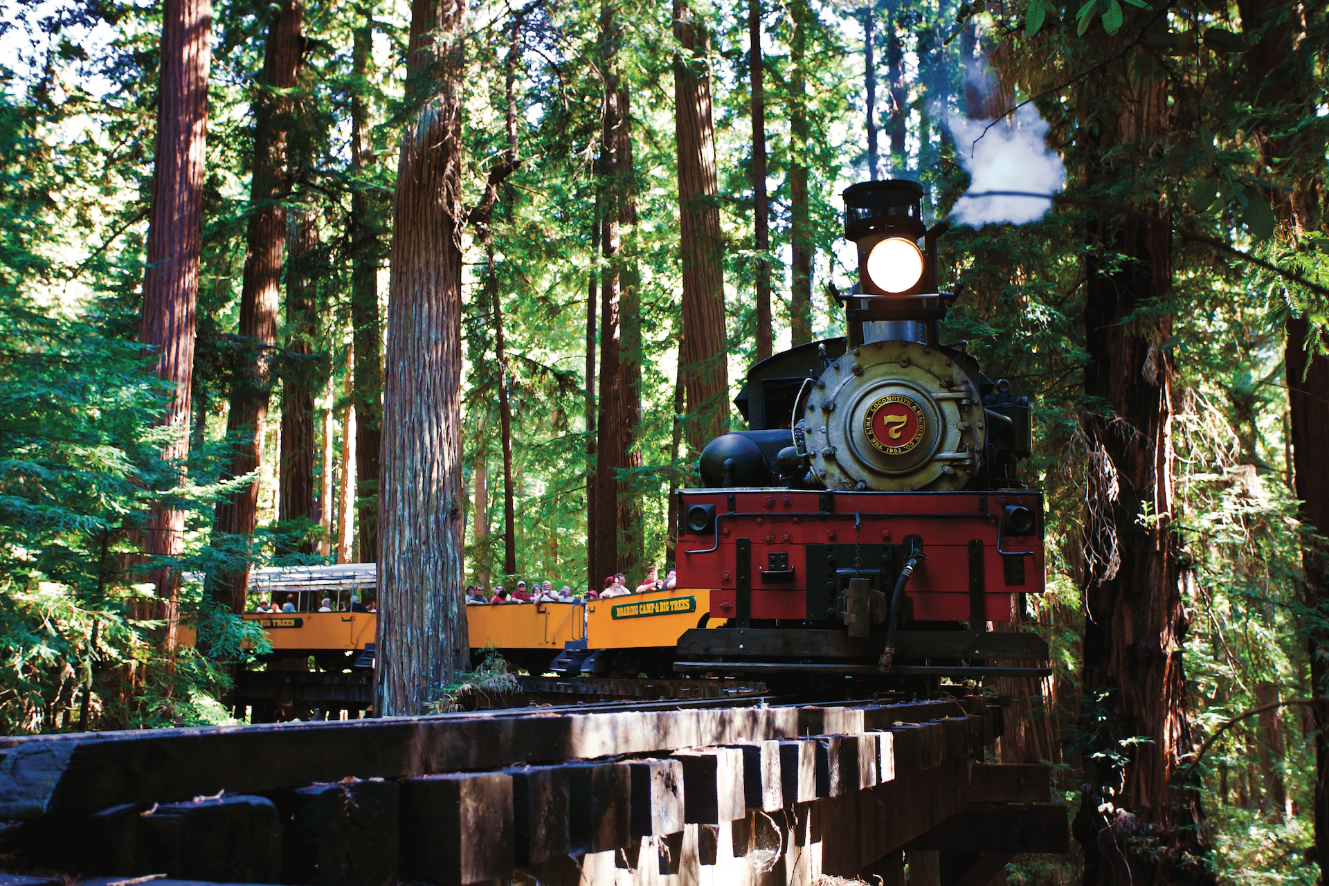 Steam engine cutting through redwood forest