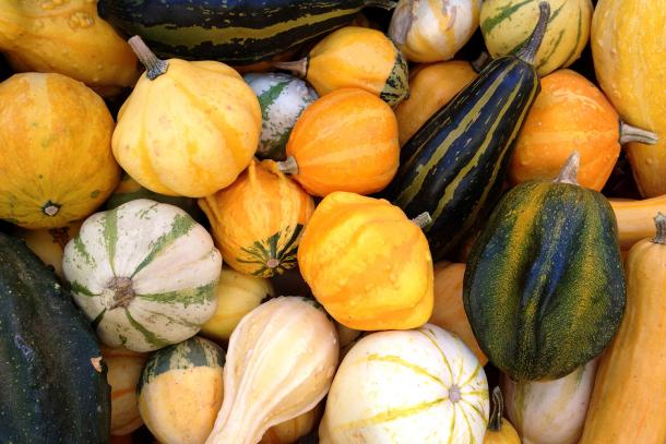 A variety of decorative gourds.