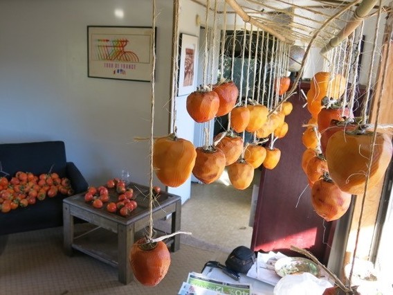 To make hoshigaki, producers use twine to suspend peeled persimmons from bamboo racks. The process can take between one and two months, and caretakers give regular massages to the softening persimmons.