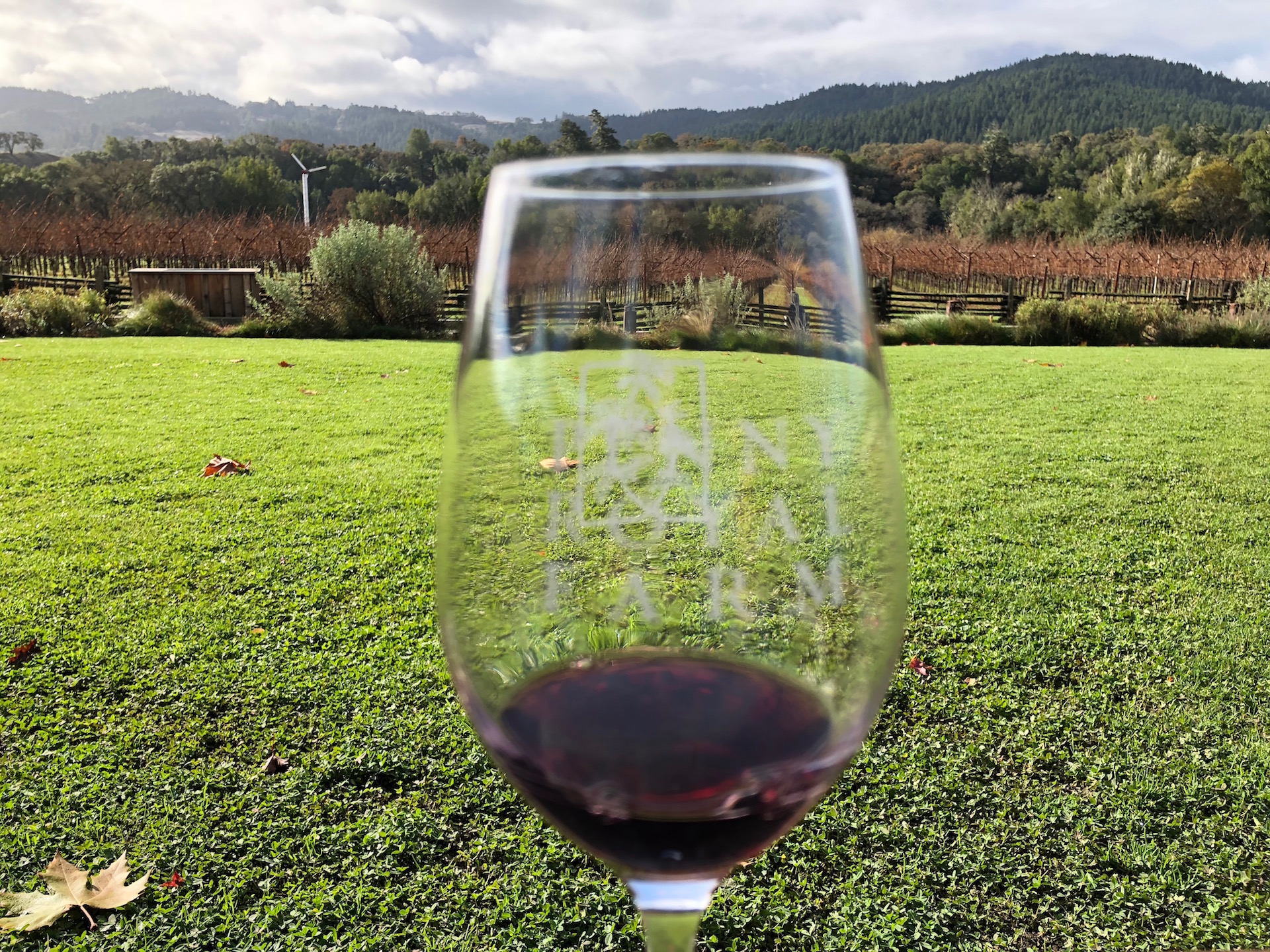 Goat cheese, Pinot Noir and spectacular views at the Anderson Valley’s Pennyroyal Farm