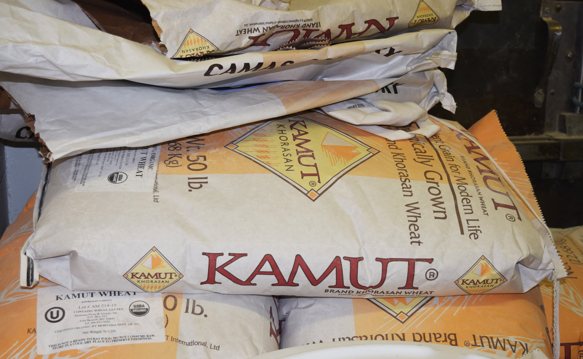 The kamut ground at the bakery is from khorasan, an ancient grain that predates modern durum wheat.