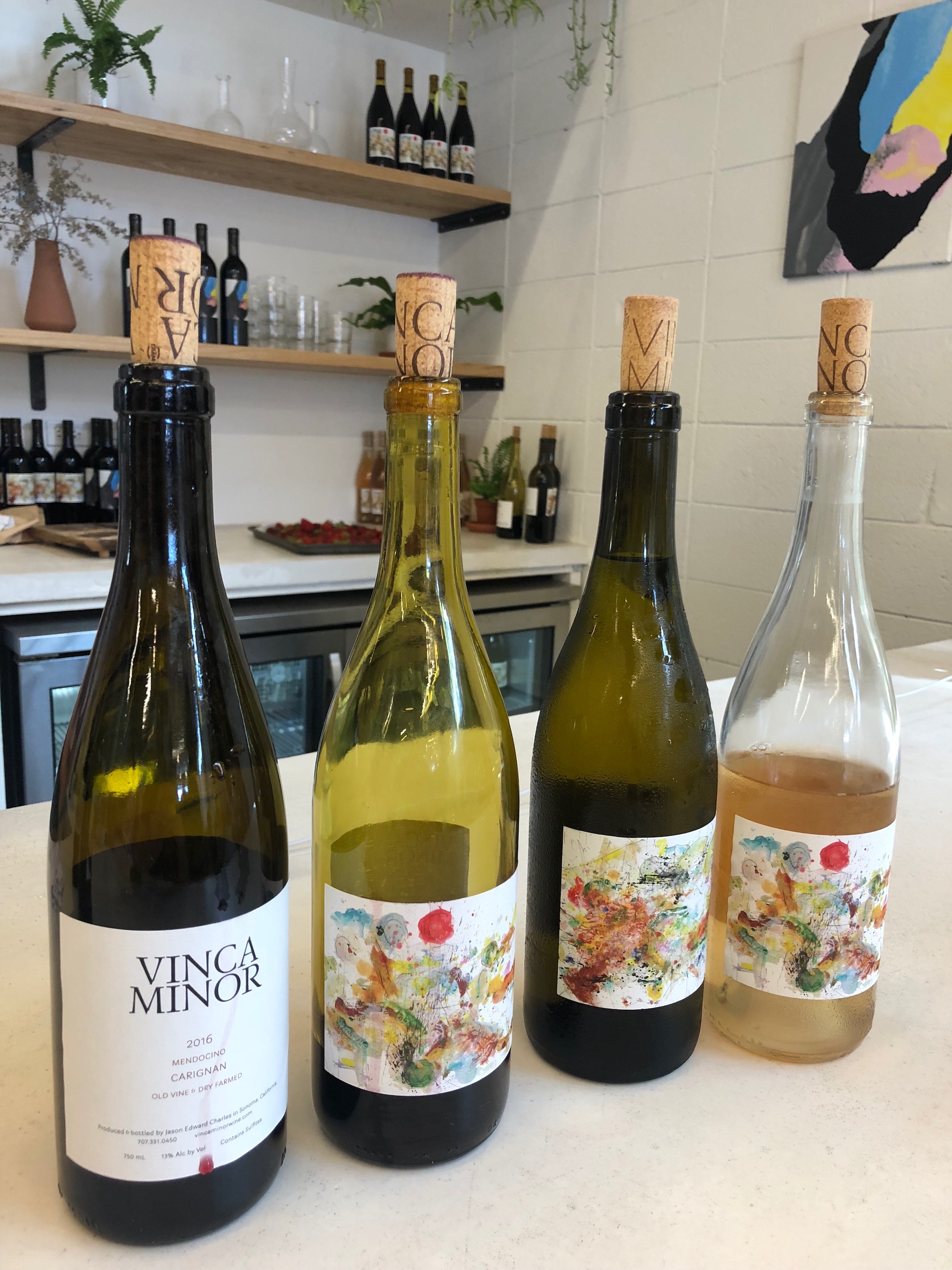 The exciting Chardonnays and Carignans from Vinca Minor