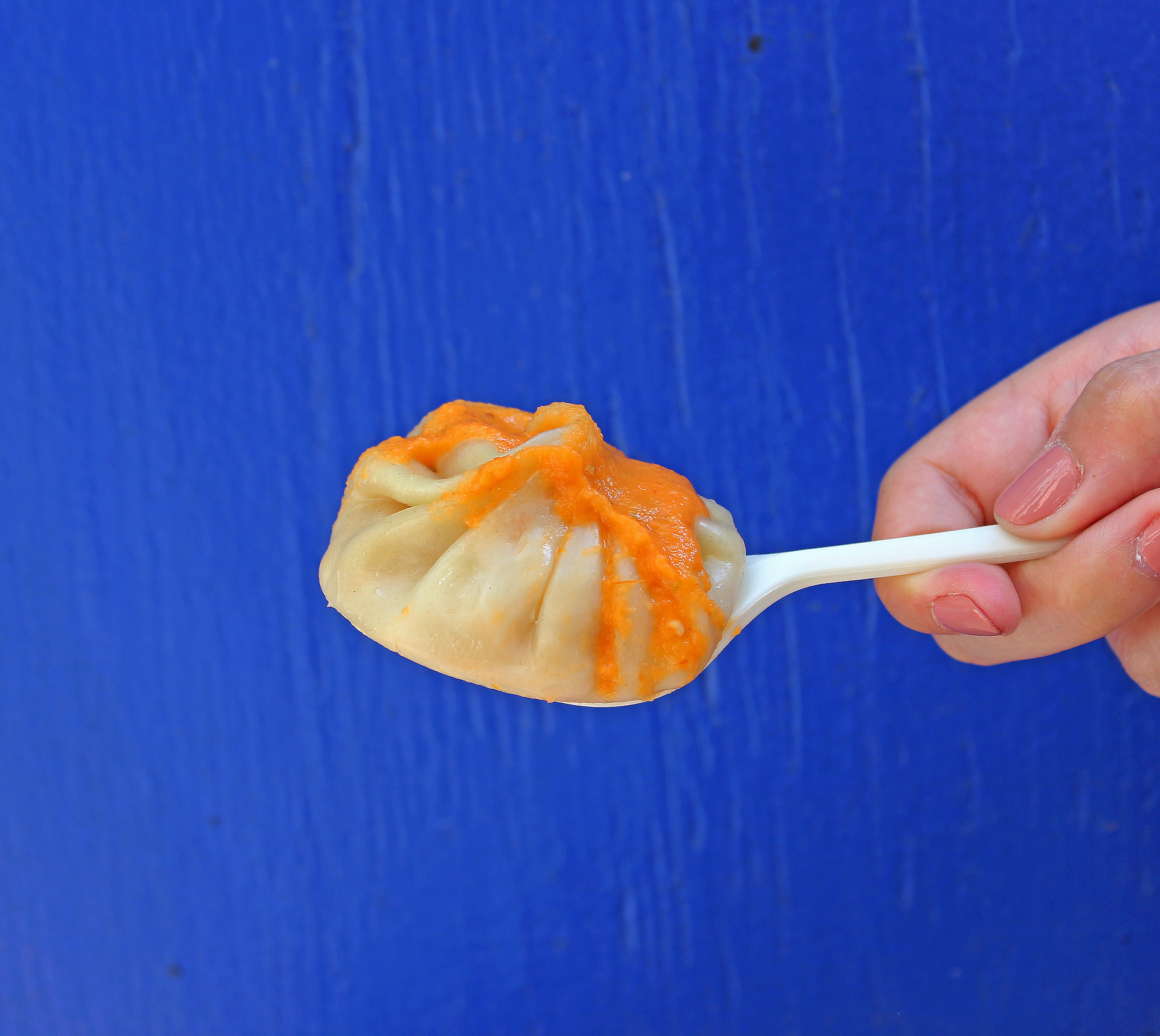 Bini's momos are available with chicken, turkey, and vegetable fillings.