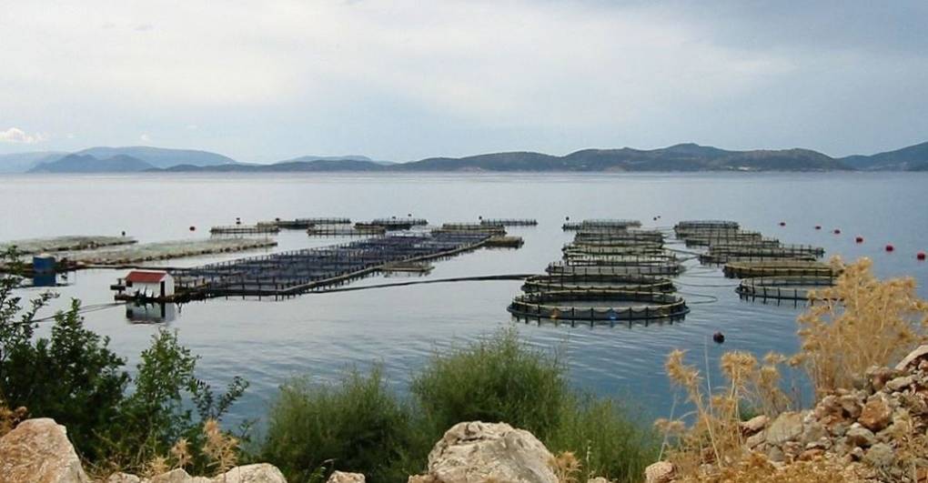 Aquaculture in western Greece.