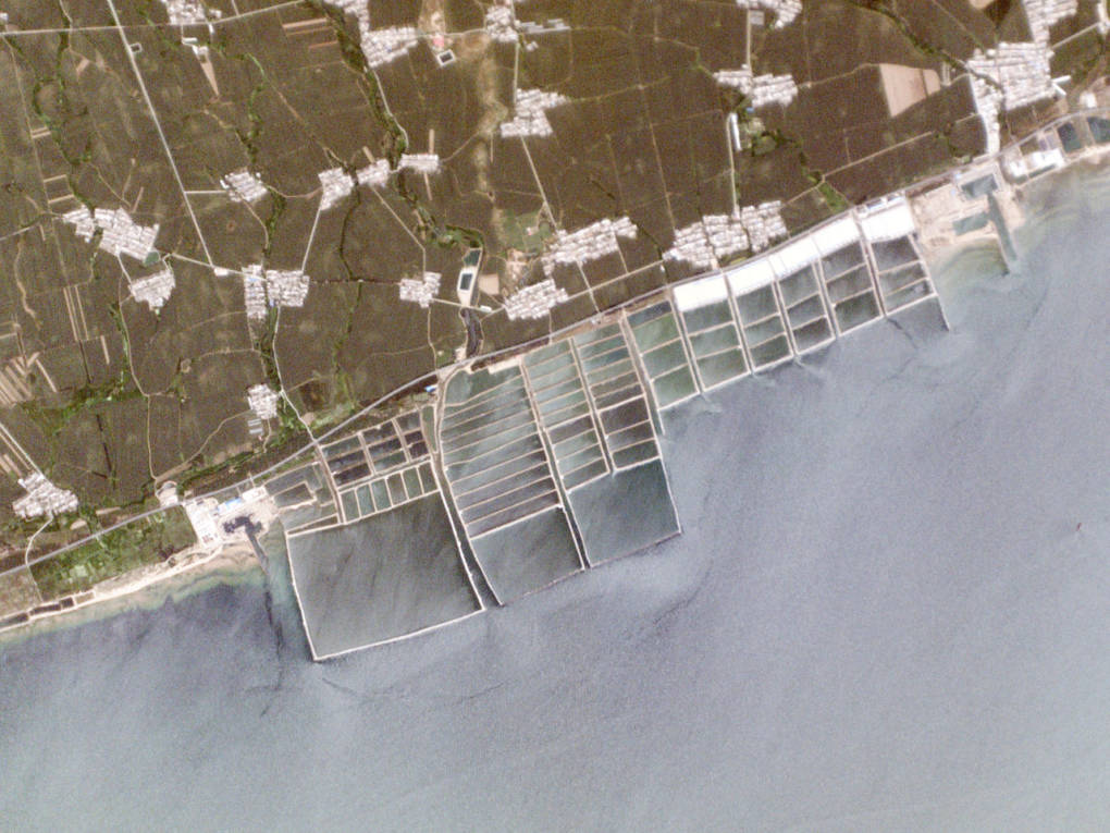 Aquaculture ponds along the coast of China’s Bohai Sea. 