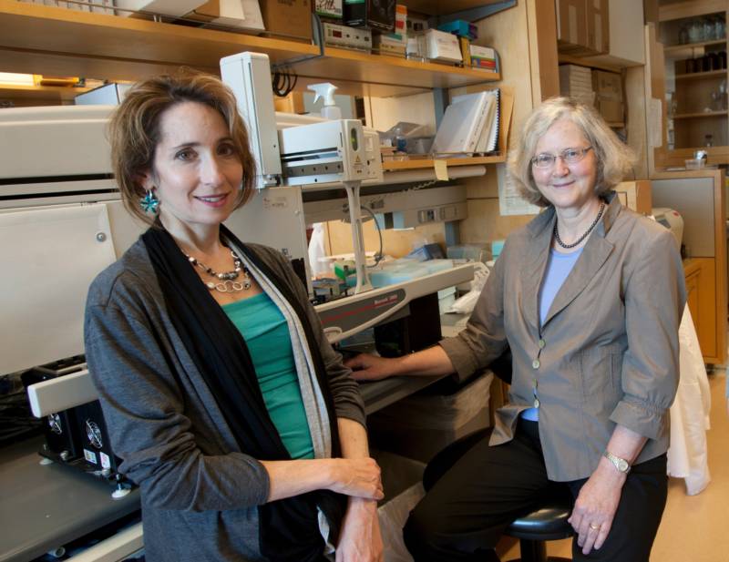 Psychologist Elissa Epel, PhD (left) and Nobel Laureate Elizabeth Blackburn, PhD (right) in a lab at the University of California San Francisco.