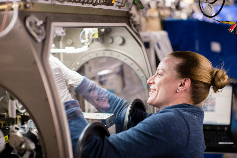 Rubins works on an experiment inside the station's glovebox. Prior research has suggested that the microgravity of space can change gene expression in certain bacteria and make them more virulent. 