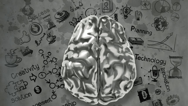 How Does the Brain Learn Best? Smart Studying Strategies