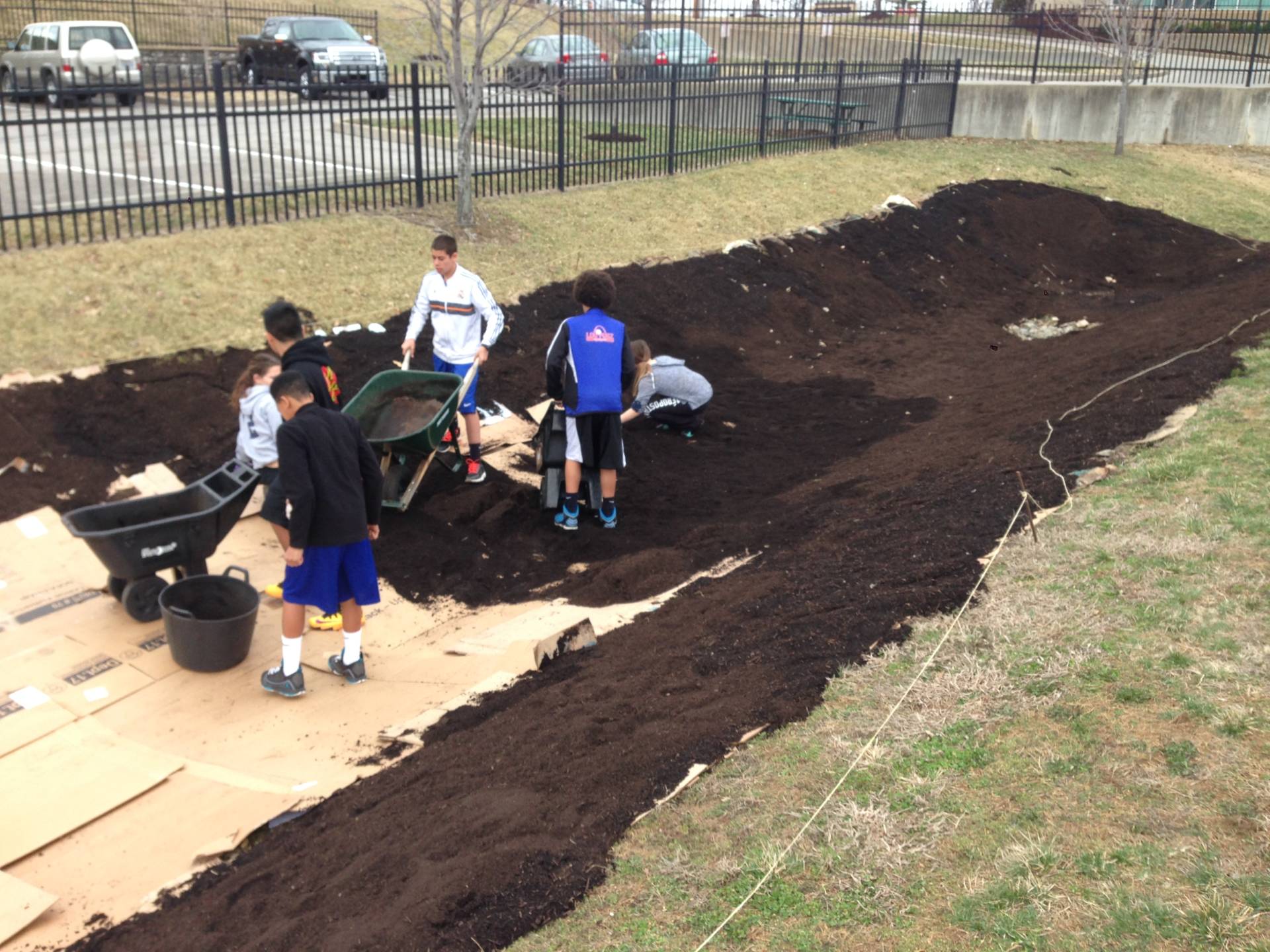 This was my sustainability class preparing the grounds for a 1200 sq ft rain garden installation. The students designed the garden, calculated the amount of soil, researched native prairie plants, prepared the seeds using a treatment called “cold stratification” to mimic Missouri winters, delivered their proposal for the superintendent/board, and then installed the garden. 100ft long and 20ft wide. In addition to the positive effects on the watershed, the rain garden also served as a pollinator garden and used in longitudinal data collection on pollinators in our campus gardens. 