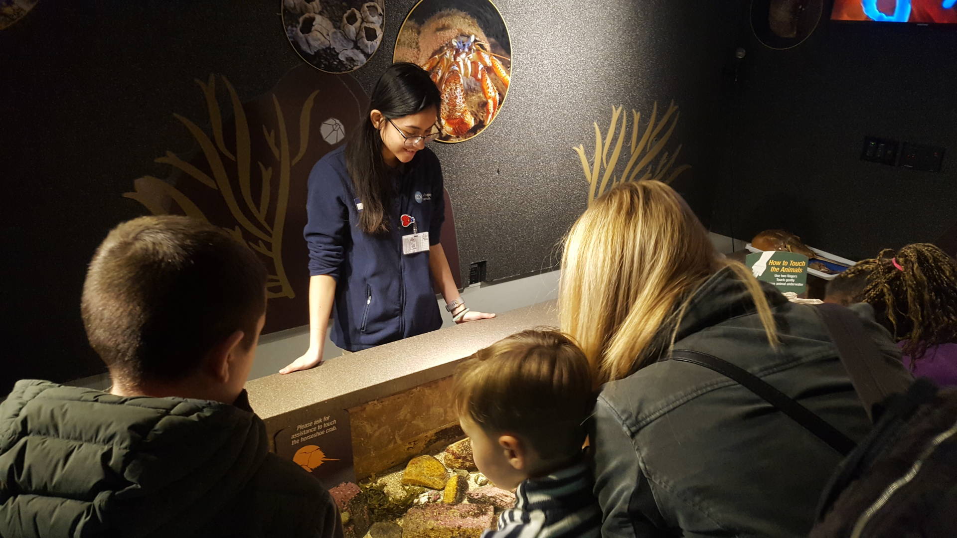Destiny Reyes, 18, spends one school day each week at the New England Aquarium and much of her schoolwork is built around research opportunities there.