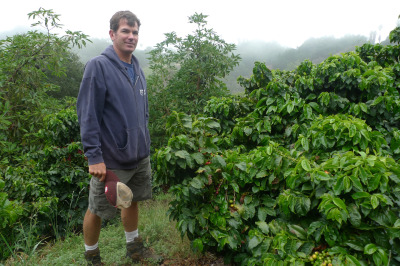 Jay Ruskey of Good Land Organics partnered with UC Cooperative Extension and is growing coffee commercially in Goleta, California. (Lisa Morehouse/KQED)