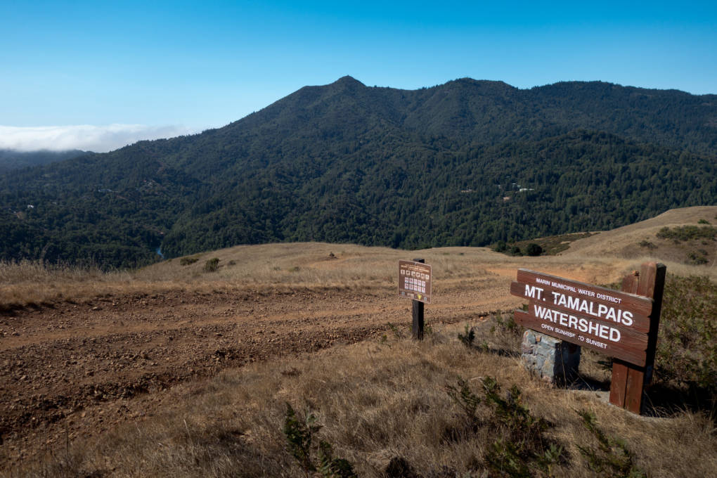 The Mt. Tamalpais Watershed
