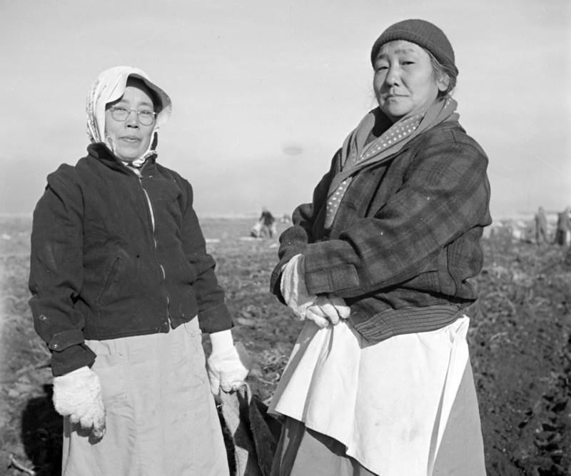 Many of the Japanese-Americans incarcerated at Tule Lake had been farmers before the war. At camp, they were employed as field workers, often for just $12 a month.