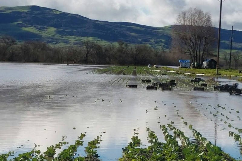 Winter Rains Bring Too Much of a Good Thing to Pajaro Riverbed Farm