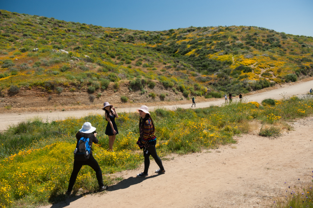 Thousands of visitors came to see the super bloom and take photos.