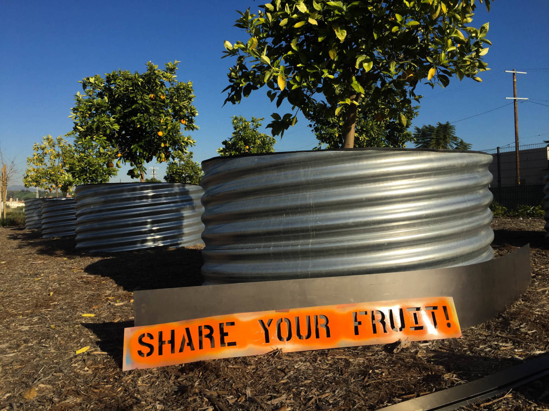 This Art Group Installs Pick-Your-Own-Fruit Parks Around Los Angeles - KQED