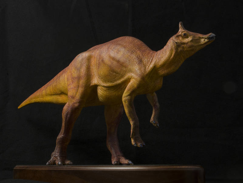 The duck-billed plant-eater Augustynolophus could soon be named California's state dinosaur.