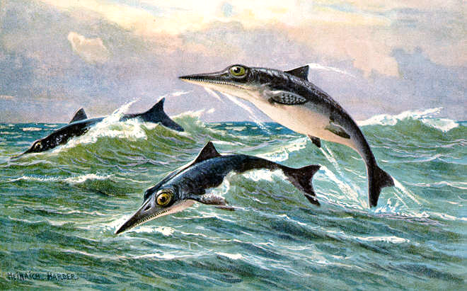Ichthyosaurus' name means fish lizard. 