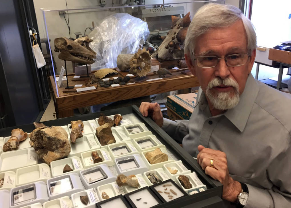 Dick Hilton, co-chair of the Sierra College Natural History Museum, says fully intact skeletons from the time of the dinosaurs are rare in California. Because of the state’s jumbled geology, what’s found instead are mostly fragments.