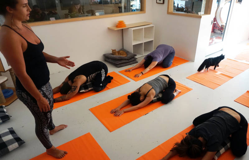 Instructor Lucia Young leads a cat yoga class at KitTea Cafe in San Francisco.