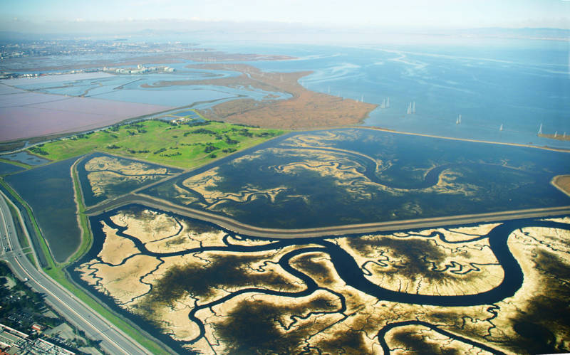 The vast network of commercial salt ponds and degraded marshes in the southern end of the San Francisco Bay are the focus of an intensive restoration effort that encompasses tens of thousands of acres. The wetlands will help protect low-lying communities from flooding by slowing storm surges and absorbing rising seas.