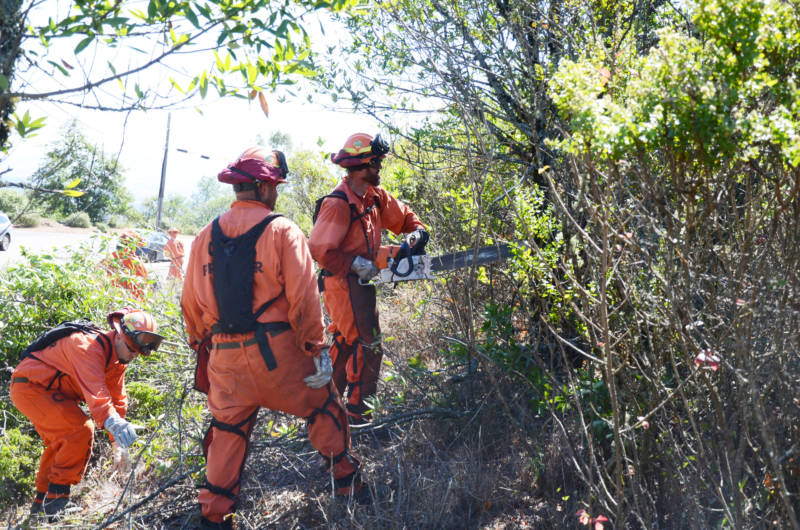 Inmate firefighters clear brush from a roadside in the Berkeley Hills in September. Fire officials say fuel reduction projects like this are critical to preventing major wildfires, but funding for fuel reduction on federal land has been squeezed to pay for increasing firefighting costs.