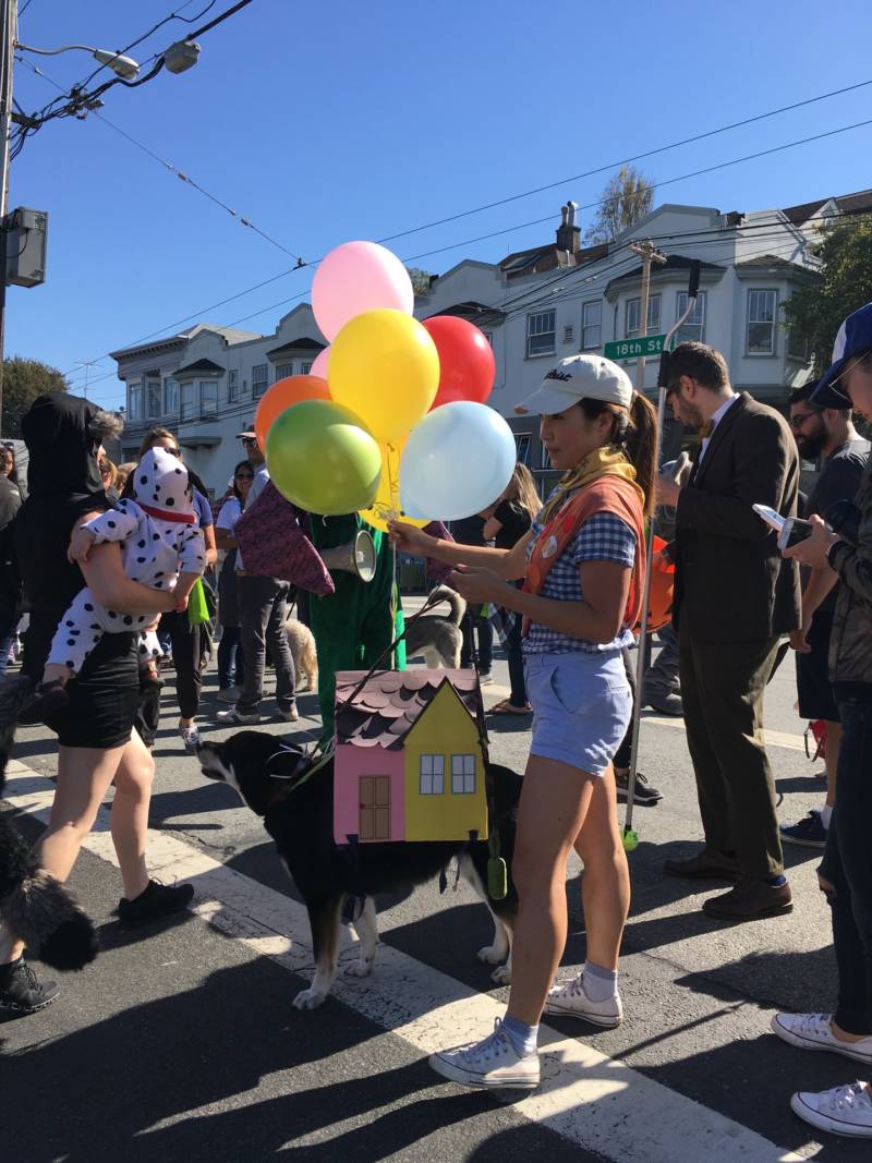 Janee Chung dressed up her dog Kimmy as the house from the Disney movie "Up."  Chung said all the materials for the costume except the balloons were already in her house.