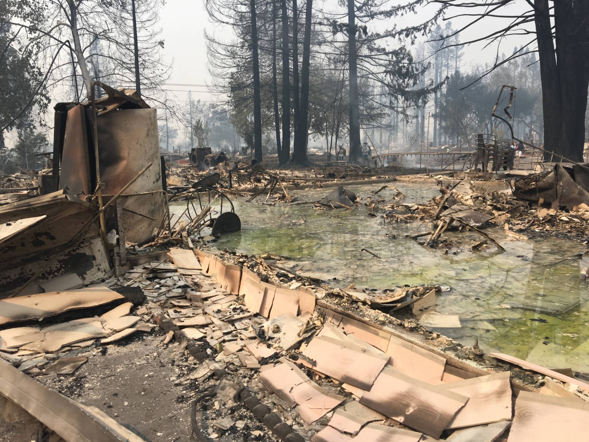 Homeowners Weigh Options for Wildfire Cleanup