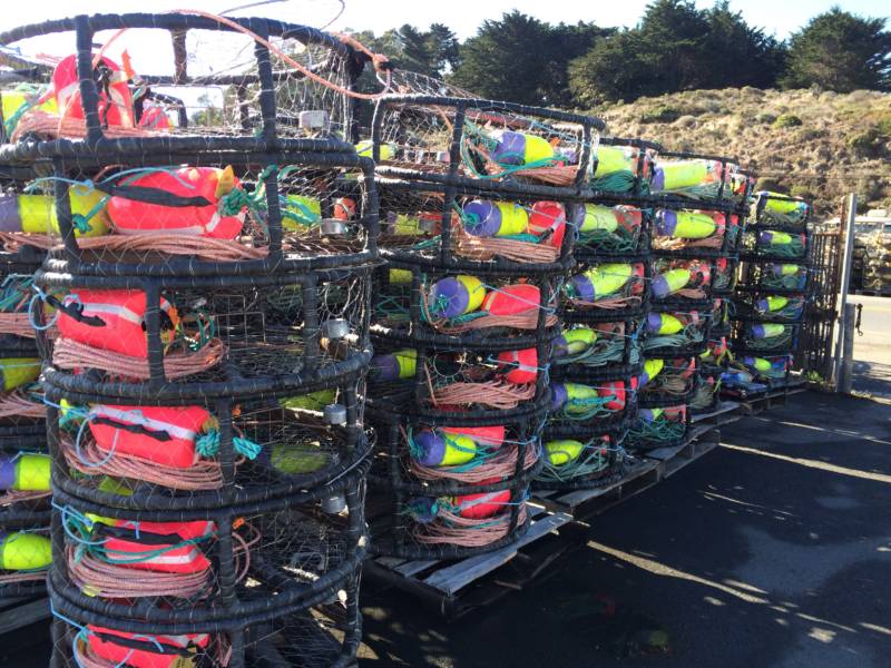 Pallets stacked high with hundreds of traps sit on the Spud Point Marina.
