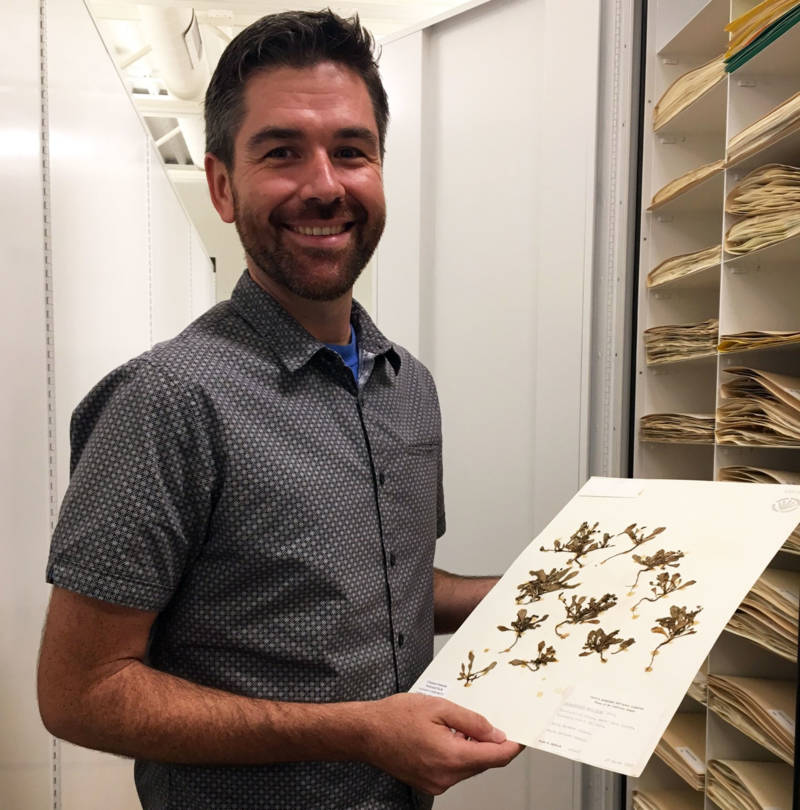 Santa Barbara Botanic Garden Botanist Matt Guilliams shows off specimens in the Herbarium.