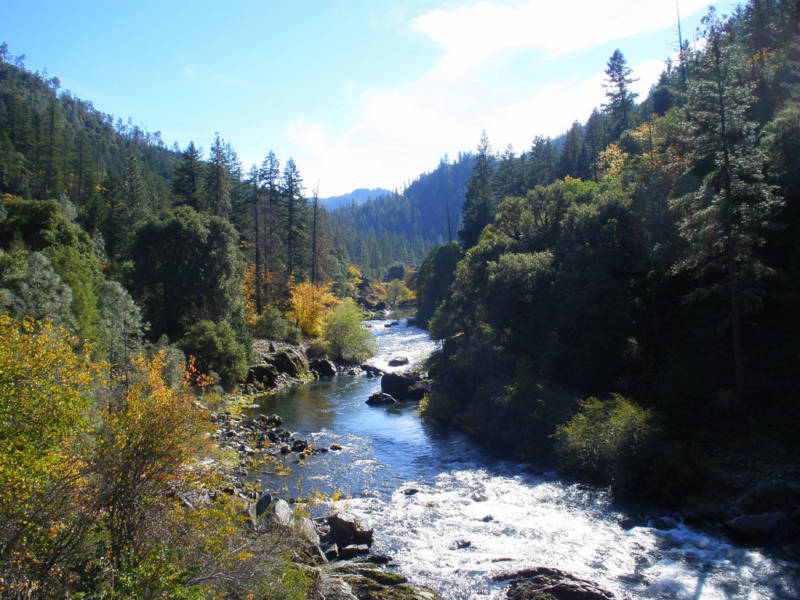 Raised by the River in Forks of Salmon, California