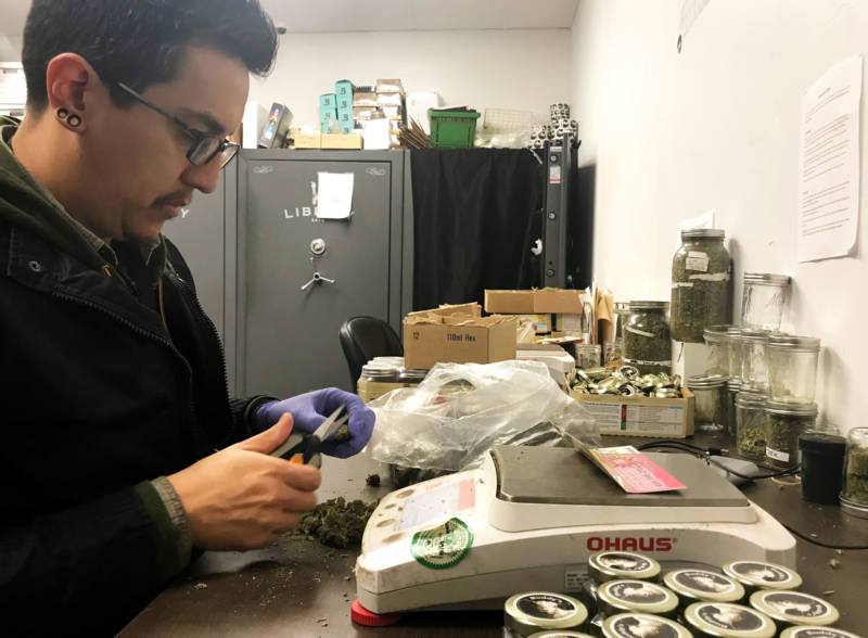 An employee at Buddy's Cannabis in San Jose weighs, sorts and fills containers of cannabis for sale.