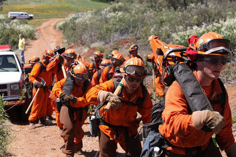 Inmates have worked fighting many recent wildfires in California. 