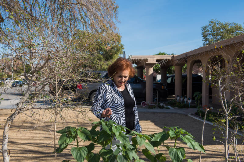 Ramona Morales' renters kept chickens, which annoyed some neighbors and was against Indio's municipal code on keeping farm animals in a residential area.