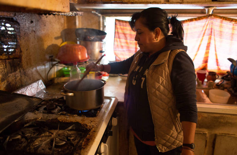 Farmworker Alma in the kitchen of the Fresno mobile home she shares with her husband and four children.