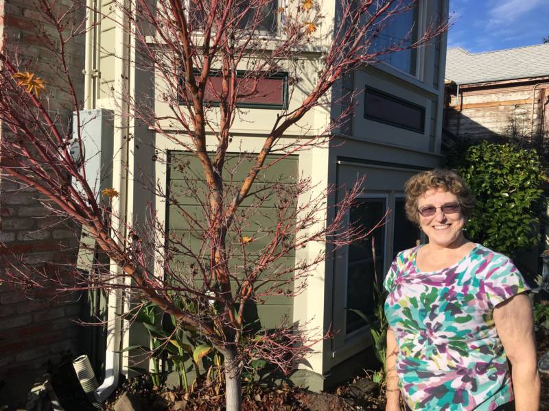 Tregloan Court resident Barbara Stuber has been living on the street since 1975.