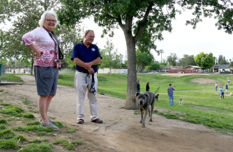 Bakersfield residents Cheryl Hill and Jay Mendenhall talk politics at Kroll Dog Park in Bakersfield. Hill said she supports President Trump, but thinks McCarthy could be doing more for the residents of his district.