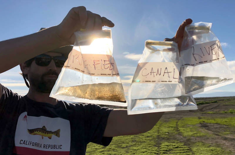 Scientist Jacob Katz compares water samples from a flooded rice field, a canal and a river. The rice field sample contains tens of thousands of bugs, great food for fish.