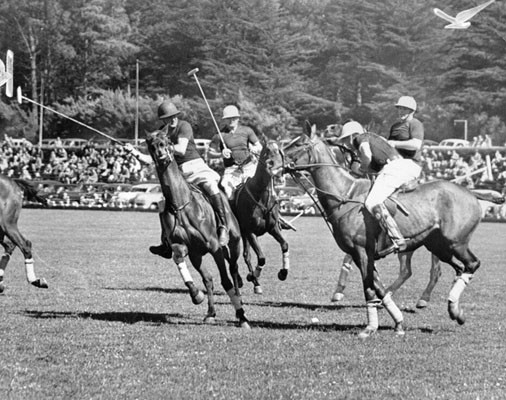 The California All-Star polo team plays the Texas Rangers at the Polo Field at Golden Gate Park on May 1, 1948.