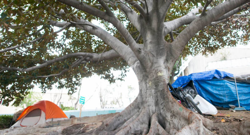 Tents are pitched near an offramp in Hollywood in March. Residents there said they prefer living outside to using a homeless shelter where couples will have to be separated and strict scheduling is enforced.