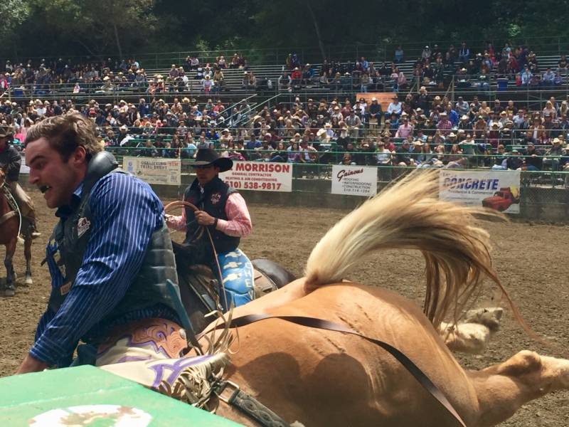 Cowboys compete in the bareback riding event. "I miss it until I see it during the day, and I see the cowboys limping out of here, and I don't miss that," said former bull rider Joe Paulo.