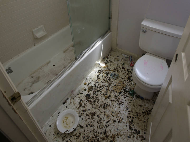 The bathroom of the home in Fairfield is strewn with feces.