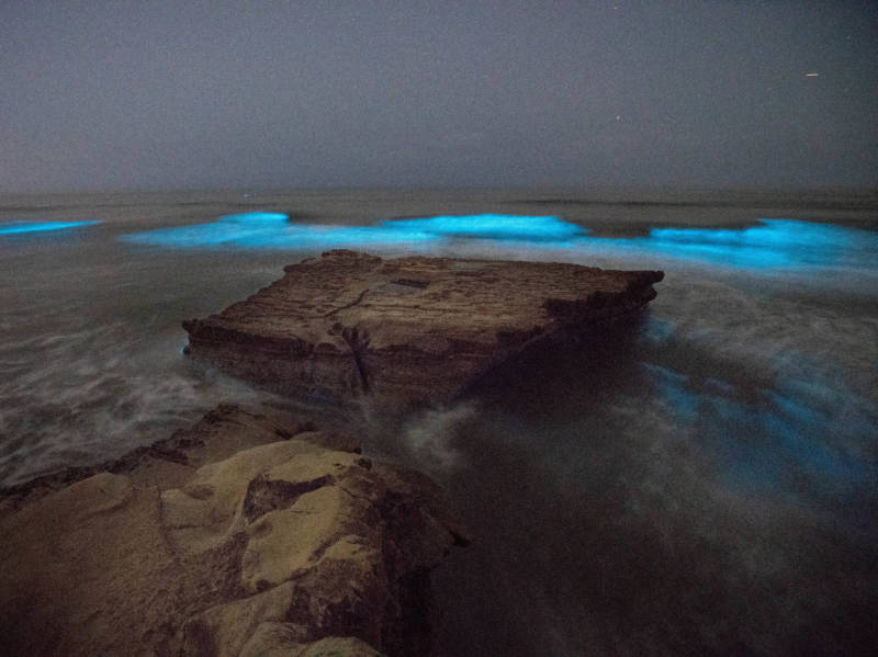 Bioluminescent waves crash against rocks at Torrey Pines State Beach in San Diego on Monday night.